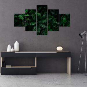 Obraz - Paprocie tropikalne (125x70 cm)