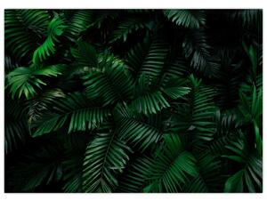 Obraz - Paprocie tropikalne (70x50 cm)