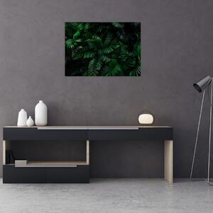 Obraz - Paprocie tropikalne (70x50 cm)