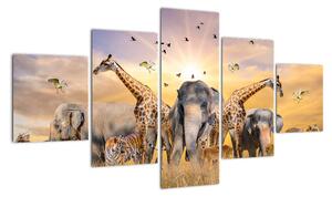 Obraz - Afrykańskie zwierzęta (125x70 cm)