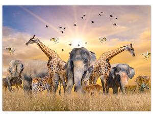 Obraz - Afrykańskie zwierzęta (70x50 cm)