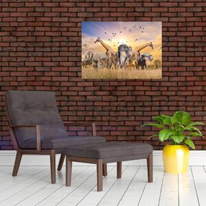 Obraz - Afrykańskie zwierzęta (70x50 cm)
