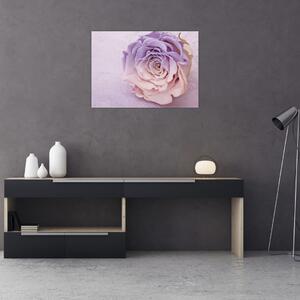 Obraz szczegółu kwiatu róży (70x50 cm)
