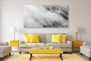 Obraz czarno-biały mglisty las