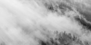 Obraz czarno-biały mglisty las