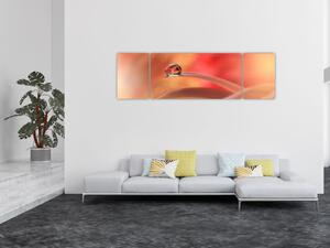 Obraz kwiecistej kropli rosy (170x50 cm)