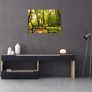 Obraz omszałej dżungli (70x50 cm)