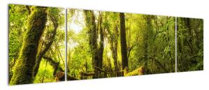 Obraz omszałej dżungli (170x50 cm)