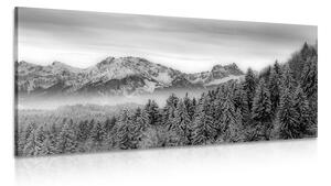 Obraz zamarznięte góry w wersji czarno-białej