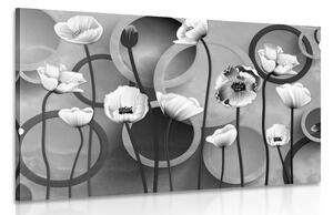 Obraz maki na abstrakcyjnym tle w wersji czarno-białej