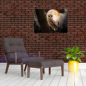 Obraz sowy palonej (70x50 cm)