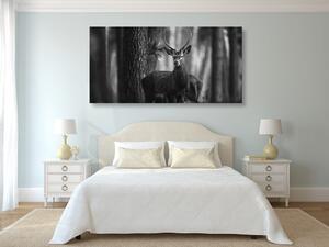 Obraz jeleń w lesie w wersji czarno-białej
