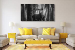 Obraz jeleń w lesie w wersji czarno-białej