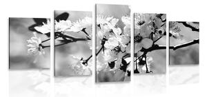 5-częściowy obraz kwiat wiśni w wersji czarno-białej