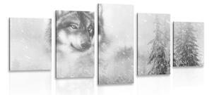 5-częściowy obraz wilk w zaśnieżonym krajobrazie w wersji czarno-białej