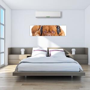 Obraz psa ze słuchawkami (170x50 cm)