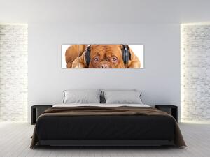 Obraz psa ze słuchawkami (170x50 cm)