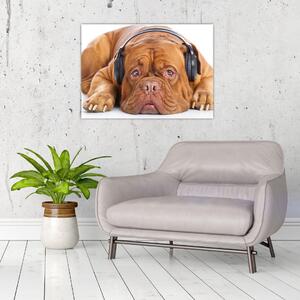 Obraz psa ze słuchawkami (70x50 cm)