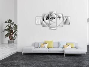 Obraz - Detal kwiatu róży (125x70 cm)