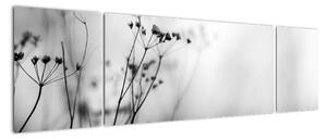 Obraz - Detal kwiatów polnych (170x50 cm)