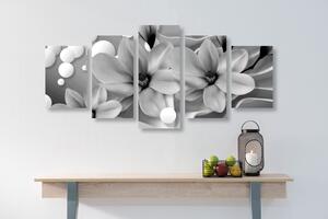 5-częściowy obraz czarna i biała magnolia na abstrakcyjnym tle