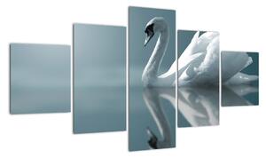 Obraz - Biały łabędź (125x70 cm)