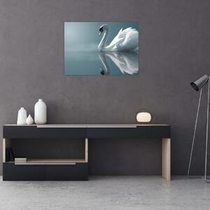 Obraz - Biały łabędź (70x50 cm)