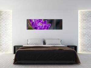 Obraz kwiatu (170x50 cm)