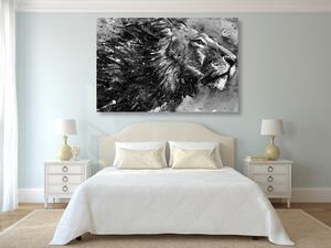 Obraz król zwierząt w czarno-białej akwareli