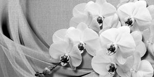 Obraz orchidea na płótnie w wersji czarno-białej