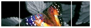 Obraz motyla (170x50 cm)
