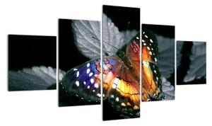 Obraz motyla (125x70 cm)