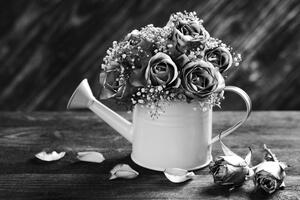 Obraz róże w doniczce w wersji czarno-białej