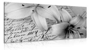 Obraz lilia na starym dokumencie w wersji czarno-białej