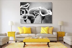 Obraz eleganckie lilie etiopskie w wersji czarno-białej