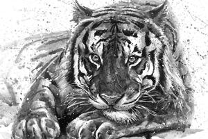 Obraz drapieżnik zwierząt w wersji czarno-białej