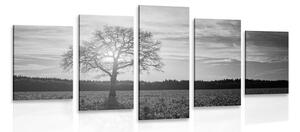 5-częściowy obraz samotnego drzewa w wersji czarno-białej