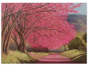Obraz kwitnących drzew (70x50 cm)