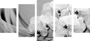 5-częściowy obraz orchidea na płótnie w wersji czarno-białej