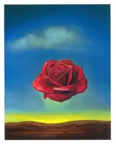 Druk artystyczny Meditative Rose 1958, Salvador Dalí, (24 x 30 cm)