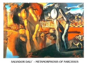 Druk artystyczny Metamorphosis of Narcissus 1937, Salvador Dalí, (80 x 60 cm)