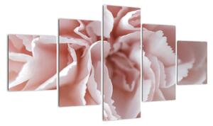 Obraz - Szczegół kwiatu (125x70 cm)