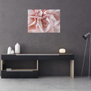 Obraz - Szczegół kwiatu (70x50 cm)
