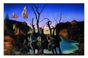 Druk artystyczny Salvador Dali - Reflection Of Elephants