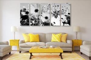 5-częściowy obraz łąka wiosennych kwiatów w wersji czarno-białej