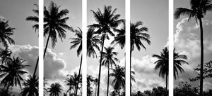 5-częściowy obraz palmy kokosowe na plaży w wersji czarno-białej