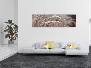 Obraz roślin (170x50 cm)
