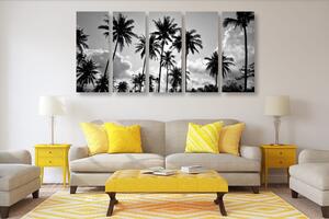 5-częściowy obraz palmy kokosowe na plaży w wersji czarno-białej