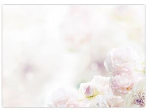 Obraz delikatnych kwiatów (70x50 cm)