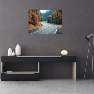 Obraz - Kręta droga (70x50 cm)